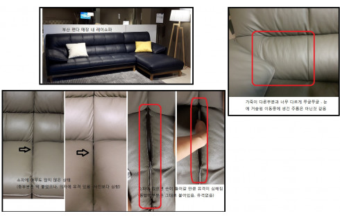 펜다쇼파.jpg